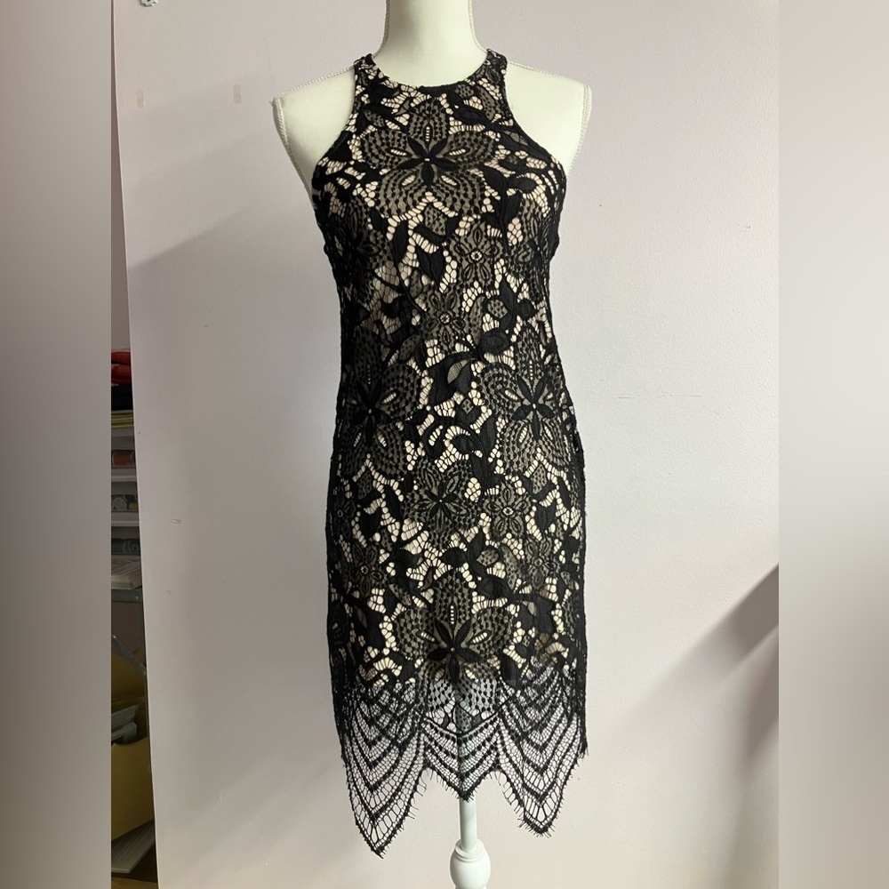 Women’s Contoured Lace Mini Dress, Size XS, Black Lace Overlay, by Express